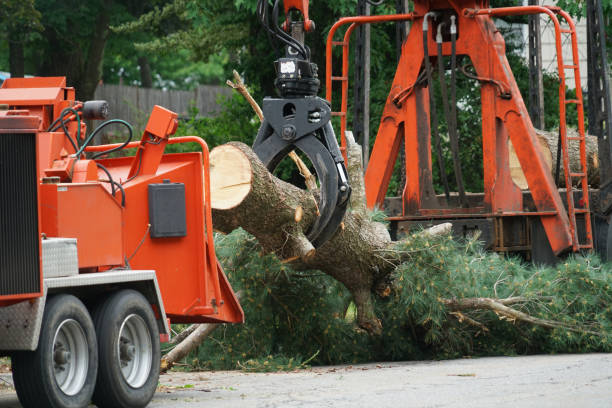 Best Firewood Processing and Delivery  in New Mford, IL